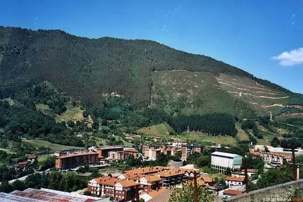 Spot image