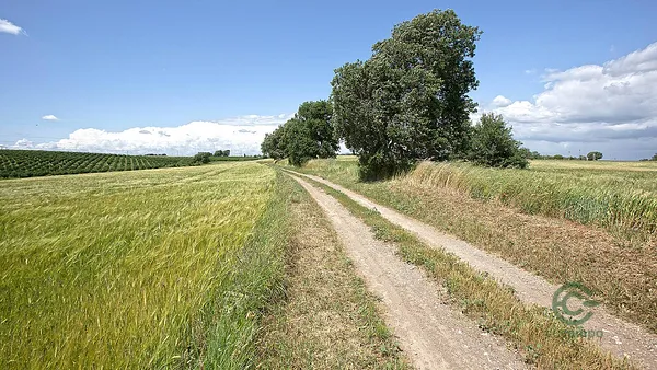 Finca rustica di 16 ha per vendita a Lazio