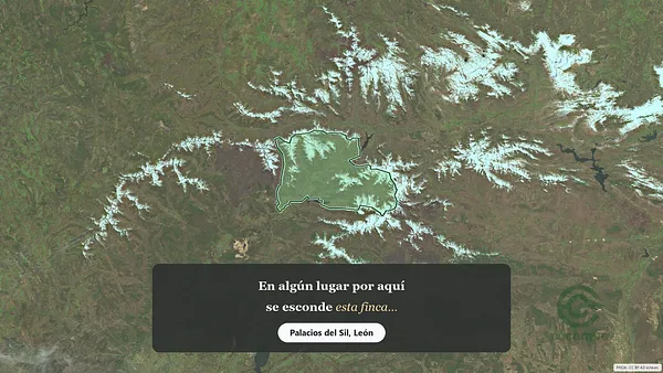 Spot image
