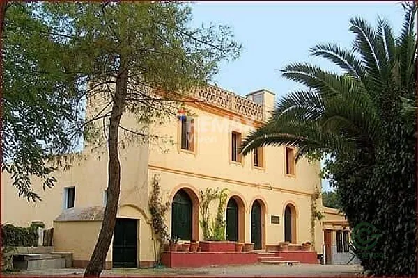 Spot image