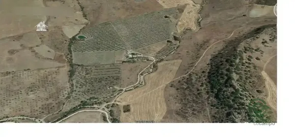 Spot image