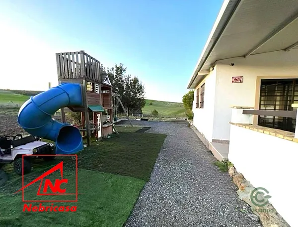 Spot image
