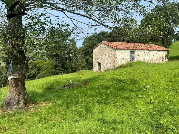 Finca agrícola de 0,7041 ha en venta en Villacarriedo, Cantabria