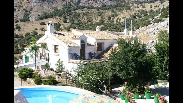 Spot image
