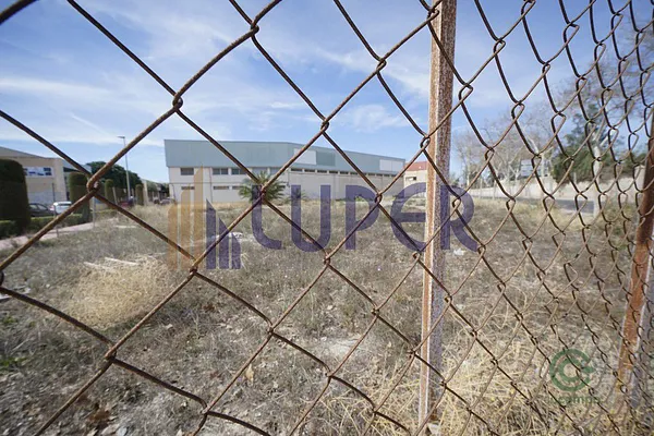 Spot image