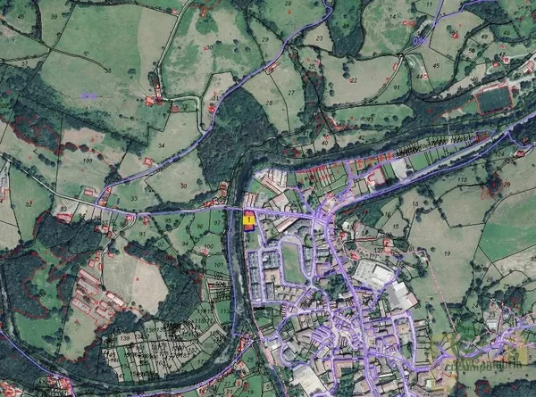 Spot image