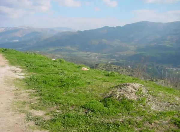 Terreno urbano de 0,7625 ha en venta en Cortes de la frontera, Malaga