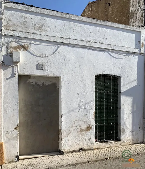 Spot image