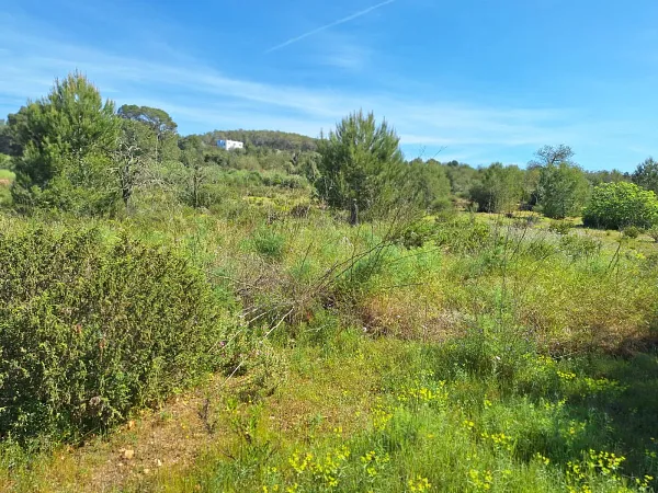 Finca rústica de 6 ha en venta en Islas baleares