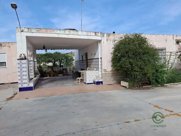 Finca rústica de 0,25 ha en venta en Aspe, Alicante