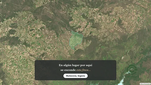 Spot image
