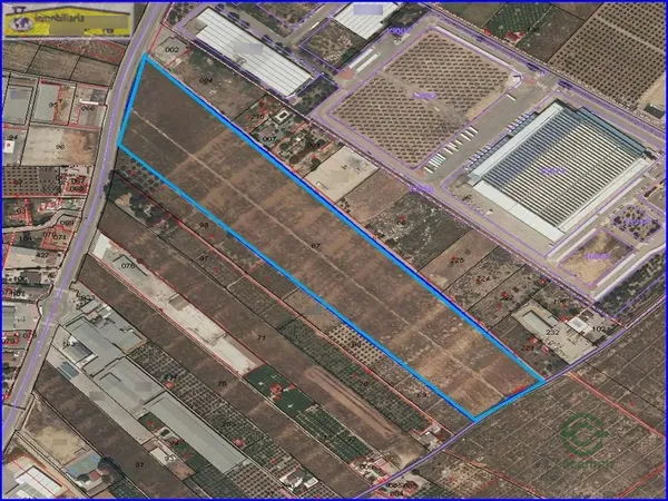 Spot image