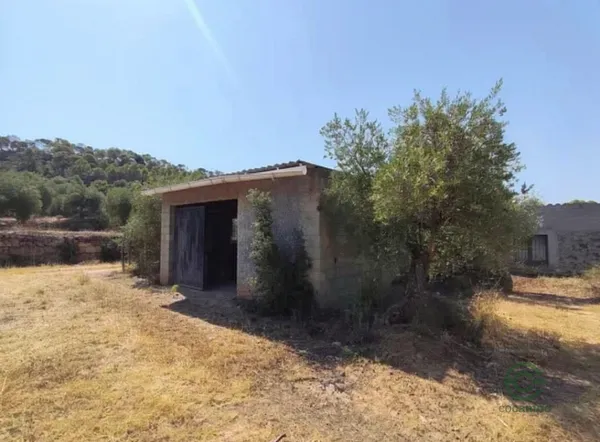 Spot image