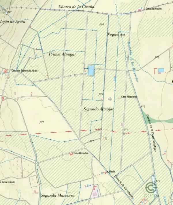 Spot image