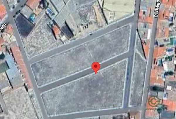 Spot image