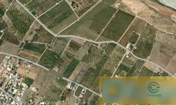 Finca agrícola de 13,28 ha en venta en Castellón, Castellón