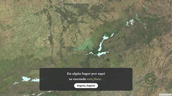 Spot image