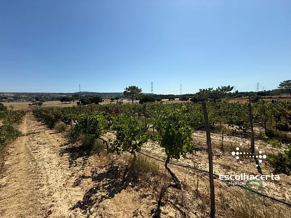 Finca rústica de 1,0614 ha en venta en Palmela, Setúbal