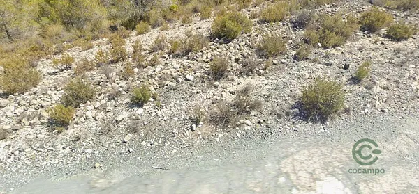 Spot image