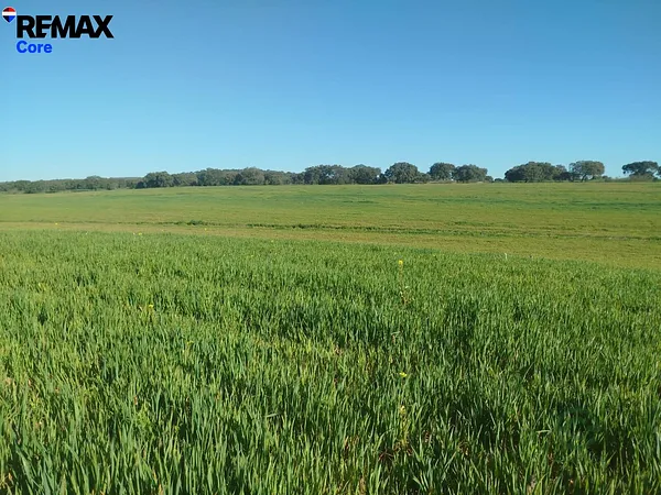 Finca agrícola de 30 ha en venta en Mérida, Badajoz