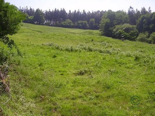 Finca rústica de 0,13 ha en venta en Candamo, Asturias