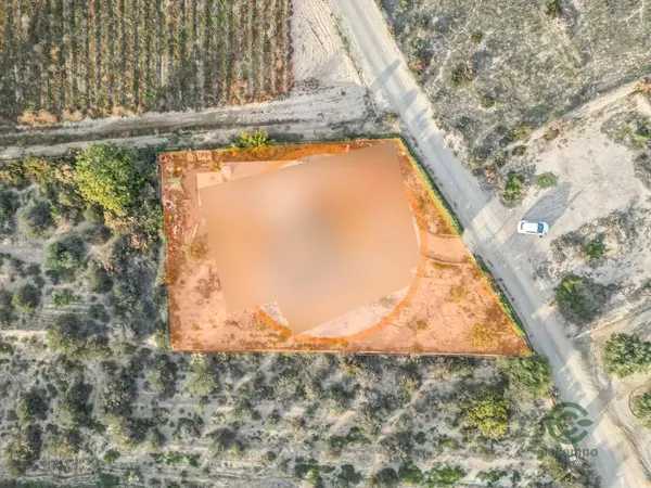 Spot image