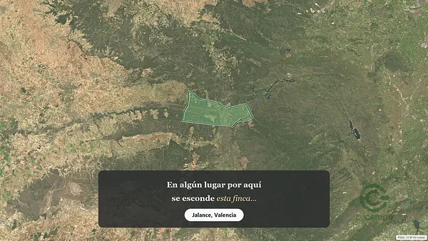Spot image