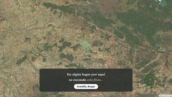 Spot image