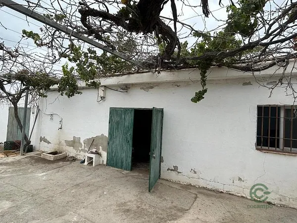 Spot image