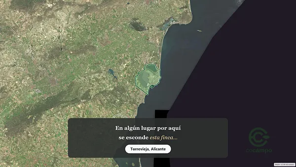 Spot image