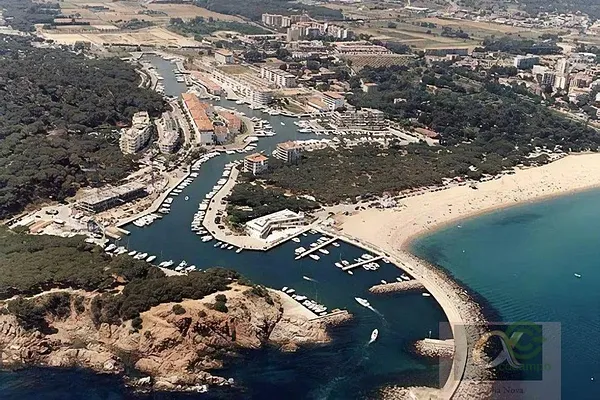 Spot image