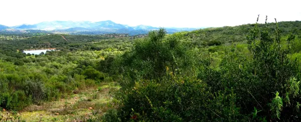 Finca rústica de 200 ha en venta en Córdoba