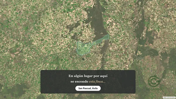 Spot image