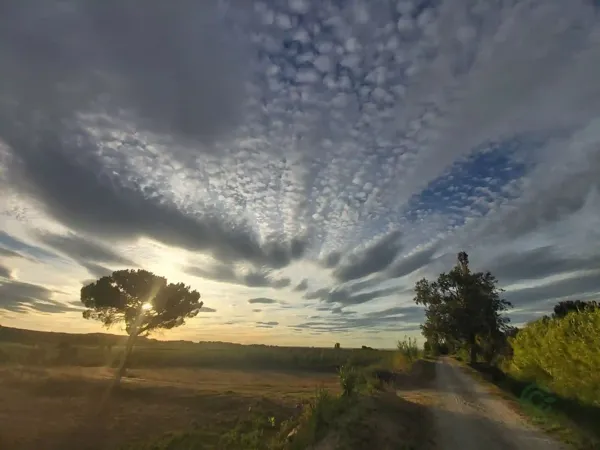 Finca agrícola de 1,5 ha en venta en Puigverd de lleida, Lleida