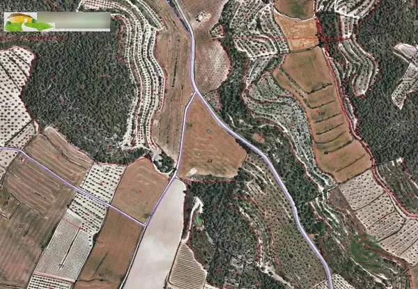 Spot image