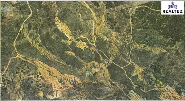Spot image