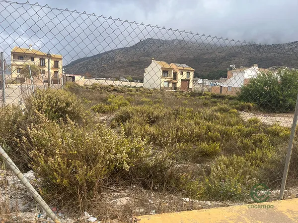 Spot image