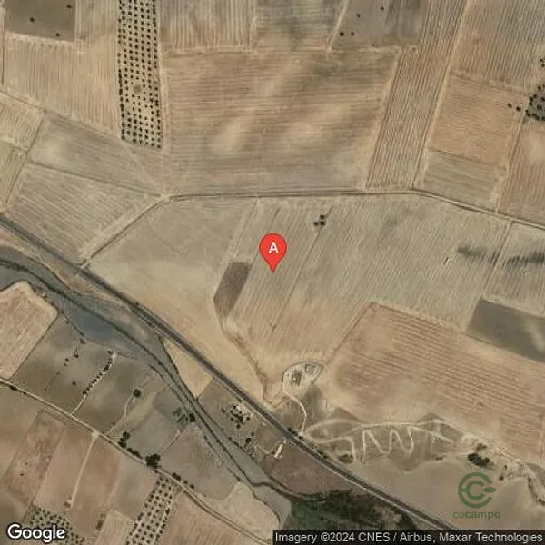 Spot image