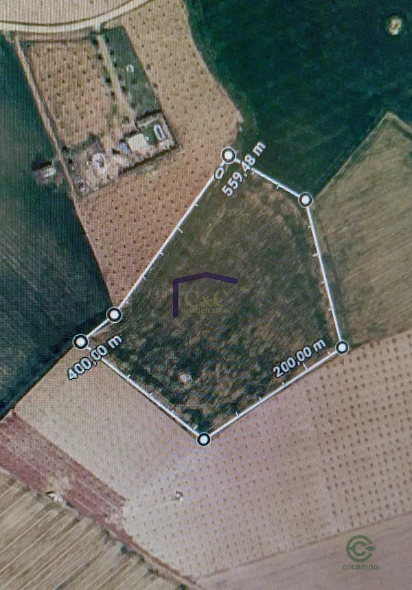 Spot image