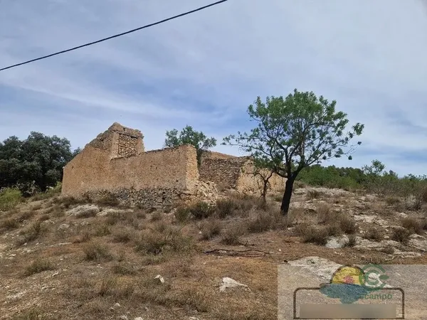Spot image