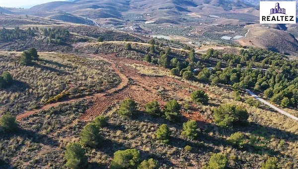 Spot image