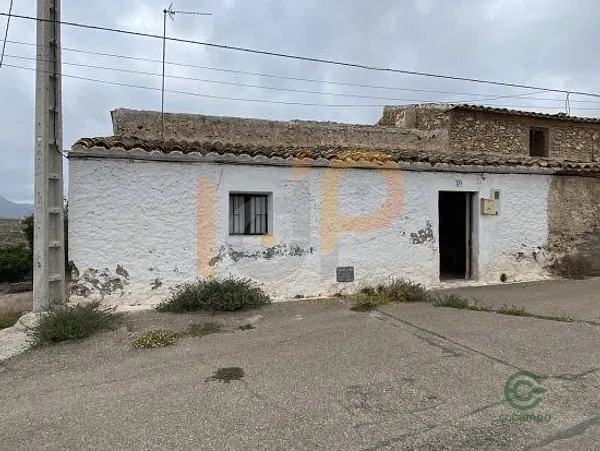 Spot image