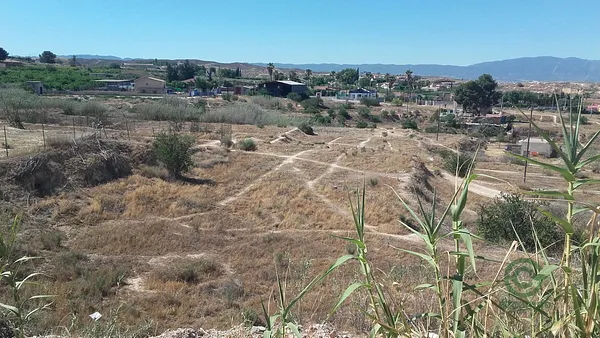 Spot image