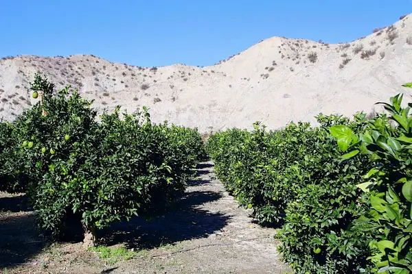 Finca agrícola de 0,74 ha en venta en Almería