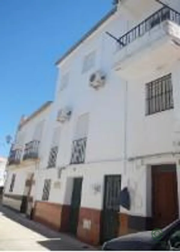Spot image