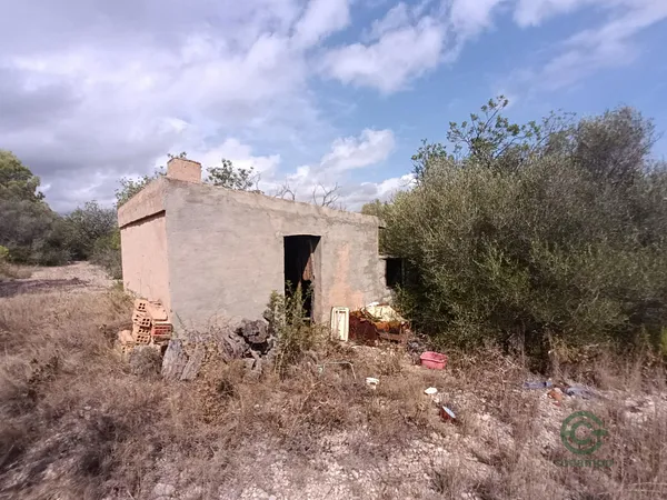 Spot image