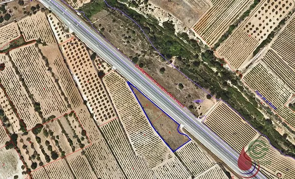 Spot image