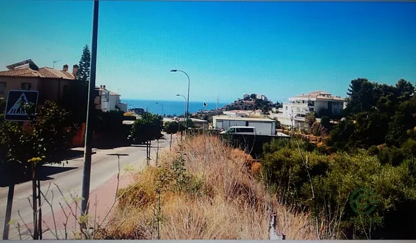 Spot image