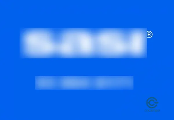 Spot image