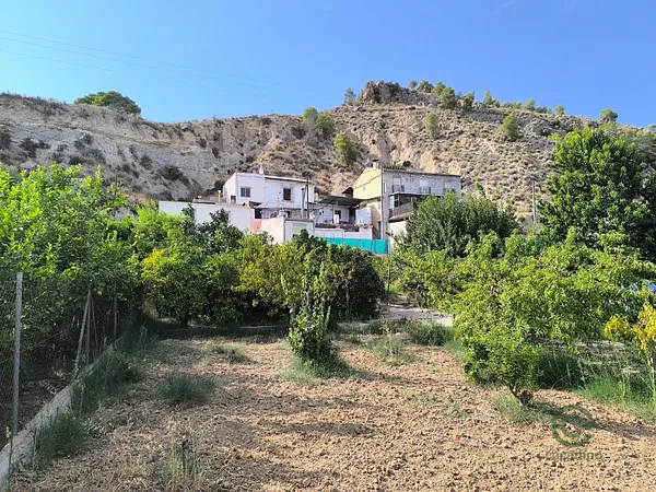 Spot image